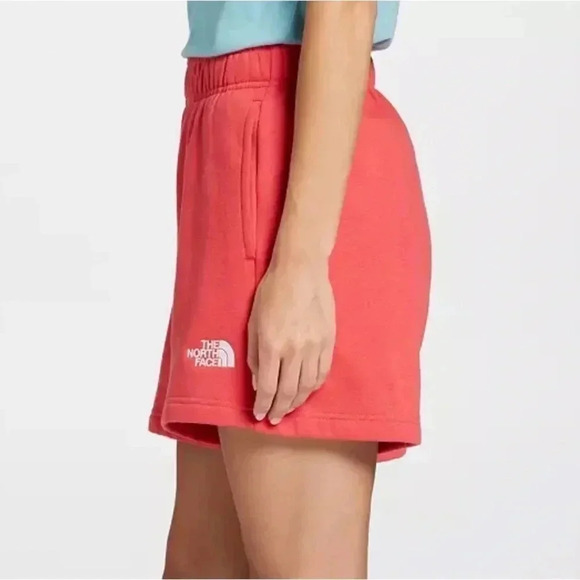 The North Face Evolution Shorts Clay Red NEW Size M - Picture 4 of 6